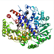 Restoring The Methionine Synthase Enzyme